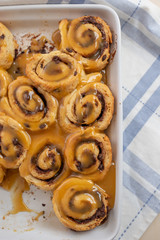 Germschnecken 