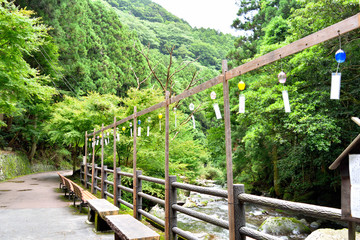 Fototapeta premium 風鈴