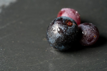gri taş üstünde siyah üzüm taneleri