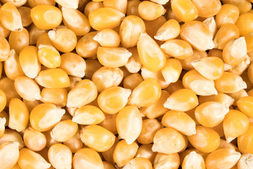 Kurutulmuş mısır taneleri, arkaplan