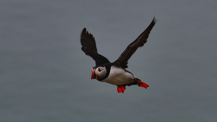 Munster Province Republic of Ireland