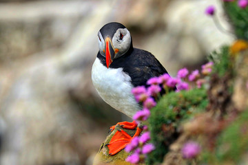 Munster Province Republic of Ireland