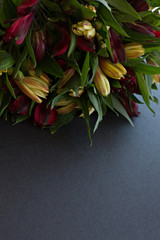 alstroemeria flowers delicate orange close-up macro