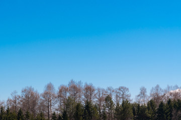 美瑛の美しい風景 / 北海道 美瑛氏の観光イメージ