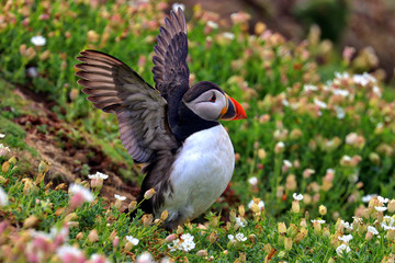 Munster Province Republic of Ireland