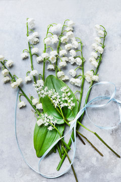 Lily of the valley cut flowers, leaves and ribbon