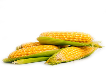 Corn bright juicy vegetarian shot over white background