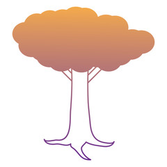 tree icon over white background, vector illustration