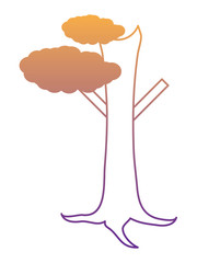 tree with little foliage icon over white background, vector illustration