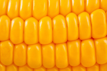 Corn bright juicy vegetarian shot over white background