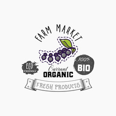 Bio sticker and eco products. Black currant berry web element, Isolated Vector.