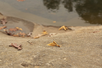 A landscape of the mountain