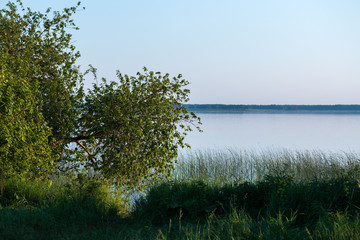 shore of the lake