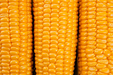 Corn bright juicy vegetarian shot over white background