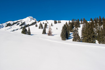 Fototapeta na wymiar really winter in Achenkirch