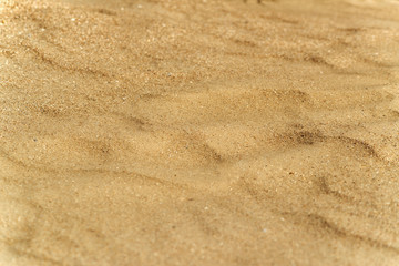 Plakat sand texture, stone, sea shell