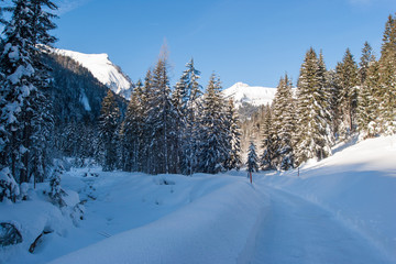 Obraz na płótnie Canvas really winter in Achenkirch