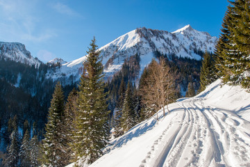realy winter in Achenkirch