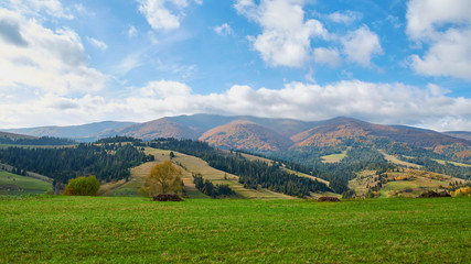 Fototapeta premium Panorama of green hills and trees in Carpathian mountains in the summer or autumn. Mountains landscape background. Nature beauty
