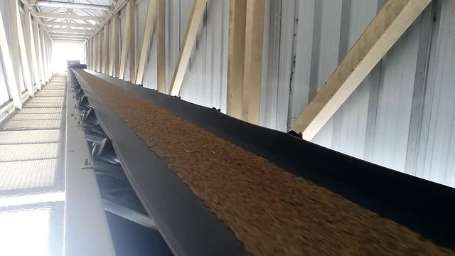 grain roller matchine in agriculture