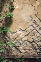 Old wall with wooden lath mesh. Border with bottom plank.