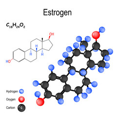 Estrogen (oestrogen, estrone, estradiol, estriol). chemical formula and model of the estradiol molecule
