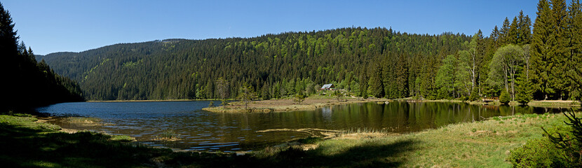Fototapeta na wymiar Bergsee Bayrischer Wald
