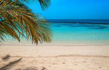 Palm leaves, turquoise lagoon, white beach. Perfect background. 