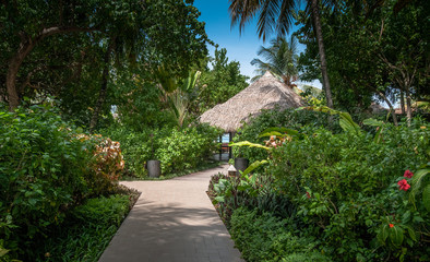 Tropical resort in the island. Green coconut palms and white sand. Vacation on Maldives