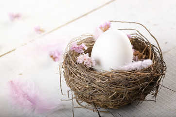 Egg in the nest with pink flowers and feather on white table