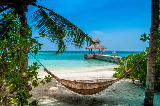 A hammock under the palms on a tropical beach. Vacation deluxe. Enjoy the moment
