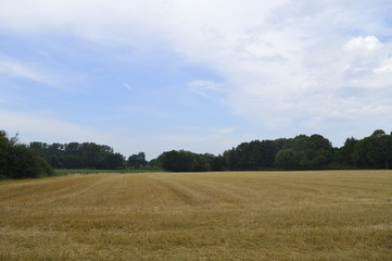 Obraz premium Wandern Niederrhein Wandern Grefrath-Oedt, Feld und Wiese