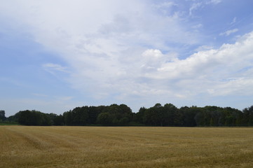 Obraz premium Wandern Niederrhein Wandern Grefrath-Oedt, Feld und Wiese