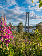 The high coast bridge in Sweden. Vertical image with flowers and plants in foreground.