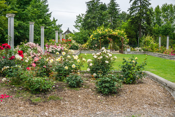 Rose Garden Courtyard 2