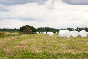 The stacks of golden hay left in the farmland field of Hungary after the harvest time