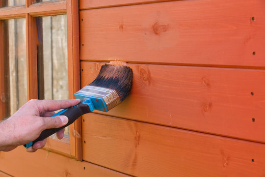 Painting a wooden garden shed with waterproof wood preservative to protect it from the elements
