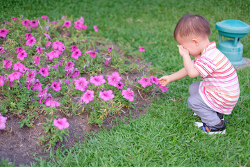 Cute little Asian 18 months / 1 year old toddler baby boy child suffer from pollen allergy at beautiful flowers garden,  little boy rubbing eyes for allergy, Kids and Pollen Allergies concept