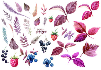 Set of forest berries and leaves. Watercolor hand drawn illustration
