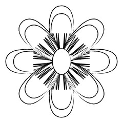 sketch of beautiful flower icon over white background, vector illustration