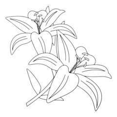 Flower cartoon illustration isolated on white background for children color book