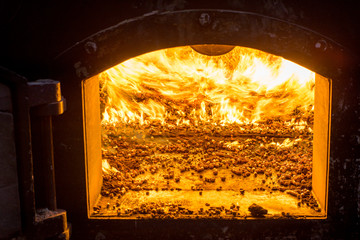 Burning bio pellets fuel in the boiler. Economical, ecologicla fuel.
