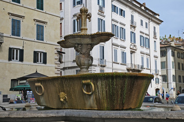 Fototapeta premium Roma, le fontane di piazza Farnese