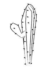 cactus icon over white background, vector illustration