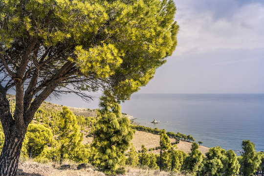 Wine production in Spain
