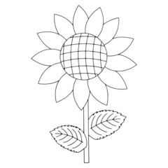 Sunflower cartoon illustration isolated on white background for children color book