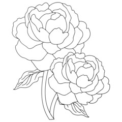 Flower cartoon illustration isolated on white background for children color book