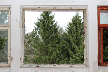 Broken window frame with missing broken glass and tall pine trees in background surrounded with dilapidated wall and old windows