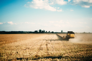 Picture of combine harvester machine harvesting crops