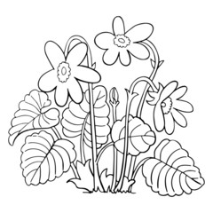 Flower cartoon illustration isolated on white background for children color book © Huy